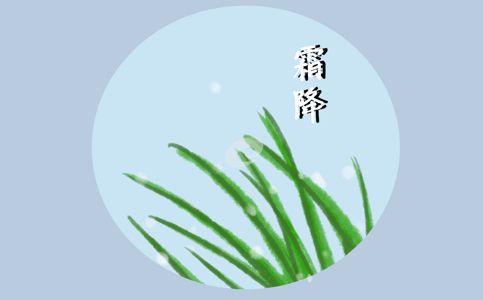 2024霜降的早安语录大全